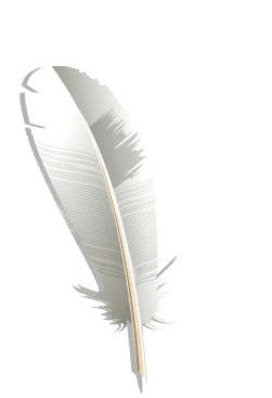 feathers